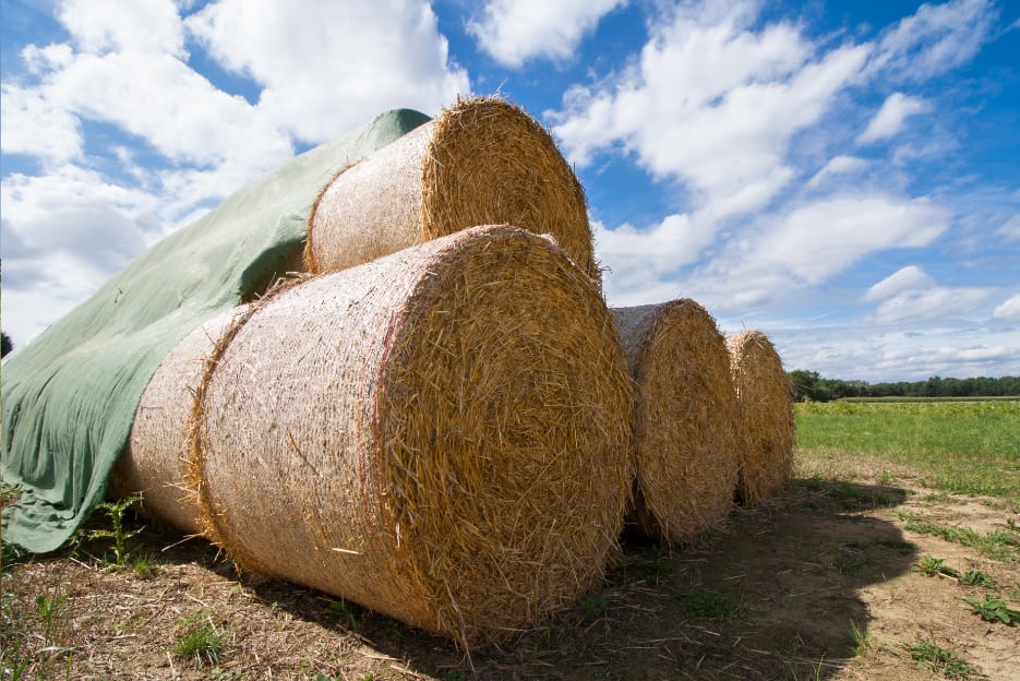 Wheat Straw & Mulch Hay Image